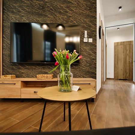 Apartamenty Laguna Beskidow - A2 زارجيتشه المظهر الخارجي الصورة